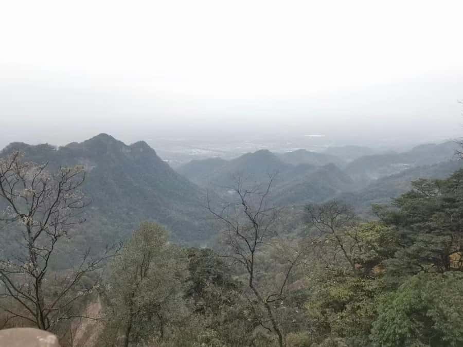 1-Day Mount Qingcheng and Dujiangyan Irrigation System Tour - Qingcheng Mountain: Front Mountain Taoism and Back Mountain scenery on the same ticket
