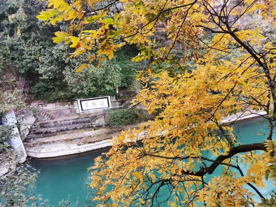1-Day Mount Qingcheng and Dujiangyan Irrigation System Tour - Guide quality: why the right English support changes everything