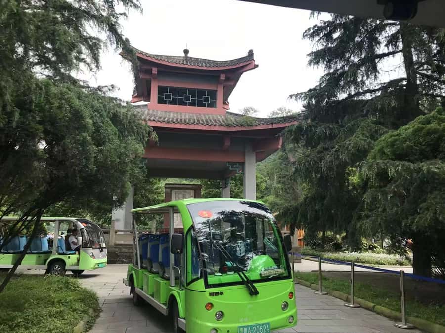 1-Day Mount Qingcheng and Dujiangyan Irrigation System Tour - Where this tour fits best (and when it might not)