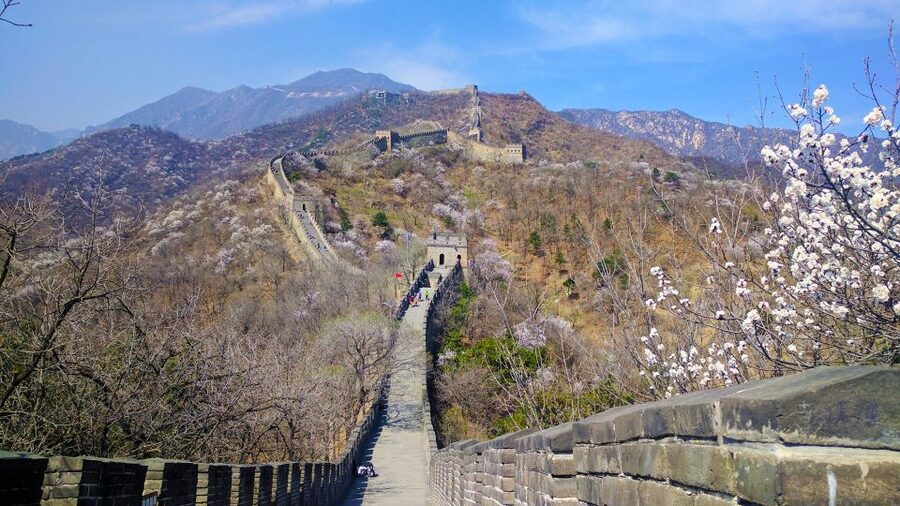 2-Day Beijing Highlights Tour with Peking Duck - Who This Tour Suits Best