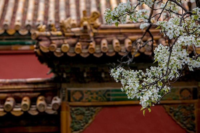 3-Day Private Beijing Tour with Forbidden City, Great Wall, Hutong and Lunch - Price and what you pay for on top of the tour