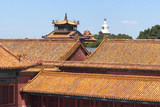 4-Hour Private Tiananmen Square and Forbidden City Tour - The Palace Museum (Forbidden City): why the guided route beats self-guided time