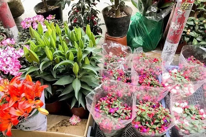 6-Hour Private Beijing Tour: Flower and Fish Market, Panjiayuan Antique Market and 798 Art Zone - Private Guide Payoff: Answers, Context, and Easier Browsing