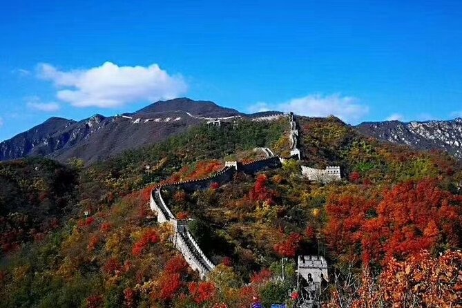 All-inclusive Mutianyu Wall and Forbidden City Private Tour - Forbidden City at the Palace Museum: what you should expect in 2 hours