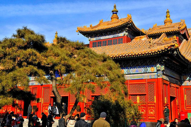 All-inclusive Private Day Trip: Hutongs, Lama Temple & Panda House with Lunch - Jingshan Park hilltop views over the Forbidden City