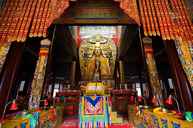 All-inclusive Private Day Trip: Hutongs, Lama Temple & Panda House with Lunch - Olympic Park photo time at Birds Nest and Water Cube