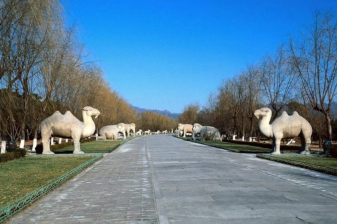 All Inclusive Private Tour to Mutianyu Great Wall and Ming Tombs - The Guide Experience, From History to Q&A