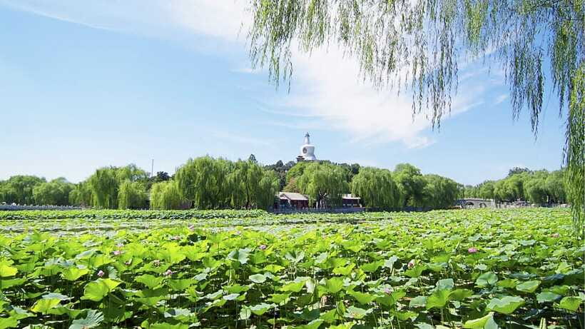 Beijing: Beihai Park Full Access Ticket - Must-See in China - White Dagoba, the White Tower: where your included ticket matters most