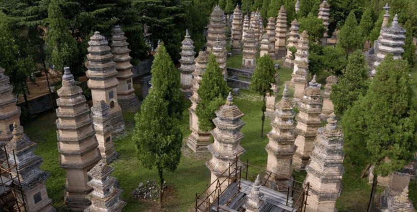Beijing:Bullet Train Day Tour to Shaolin Temple&Martial Arts - Pagoda Forest: 240-plus monk tomb pagodas in one sweeping zone