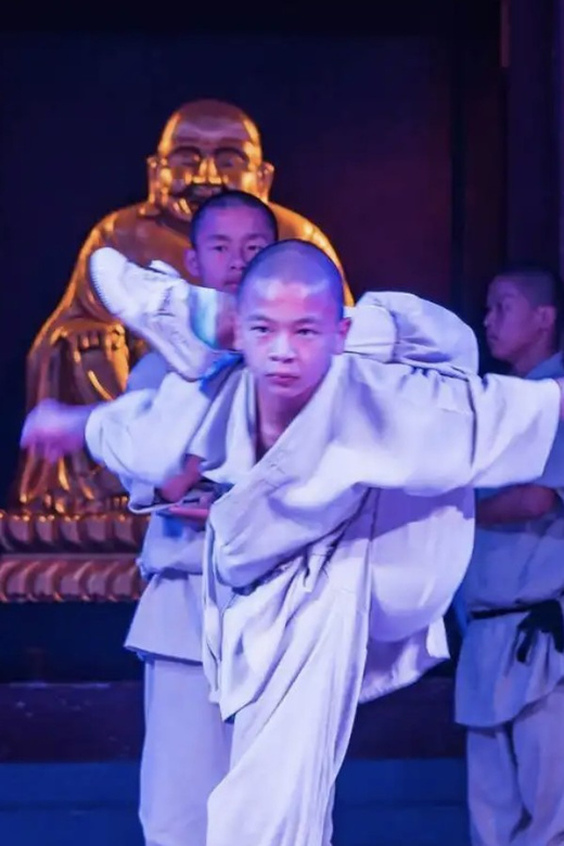 Beijing:Bullet Train Day Tour to Shaolin Temple&Martial Arts - Food, rain, and the reality of moving fast