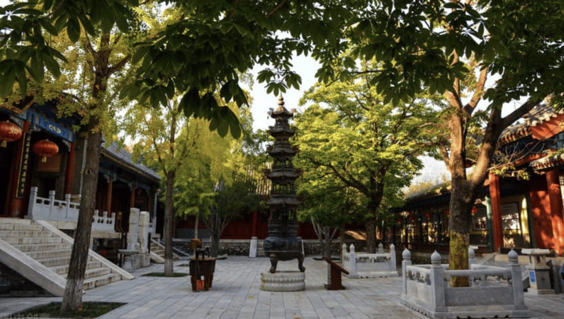 Beijing:Bullet Train Day Tour to Shaolin Temple&Martial Arts - Who should book (and who should skip) this Shaolin day tour
