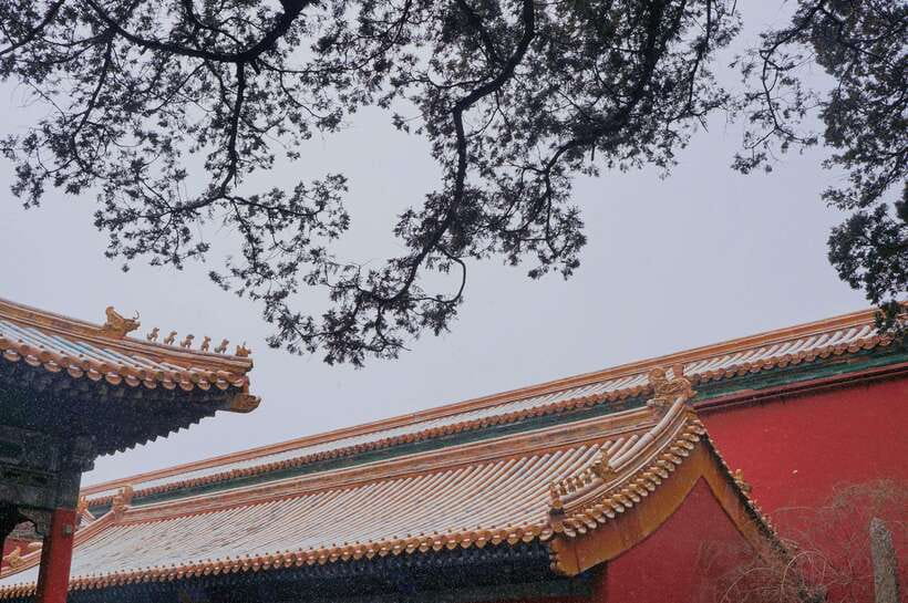Beijing:Forbidden City & Tian'anmen Square with entry ticket - Jewelry and Clock Halls: the kind of detail that makes the palace feel human