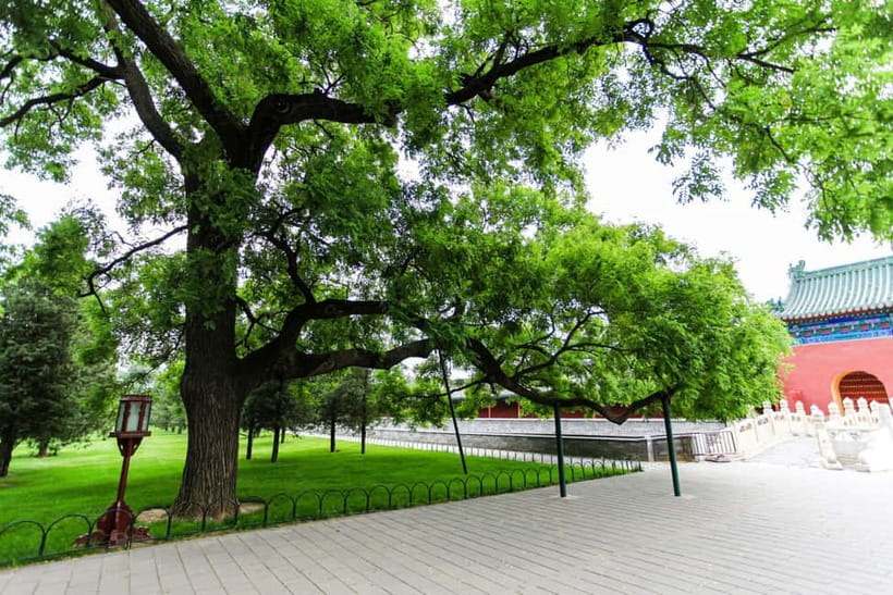 Beijing:Forbidden City Tour—Temple, Summer Palace&Great Wall - The security and passport routine you cannot skip