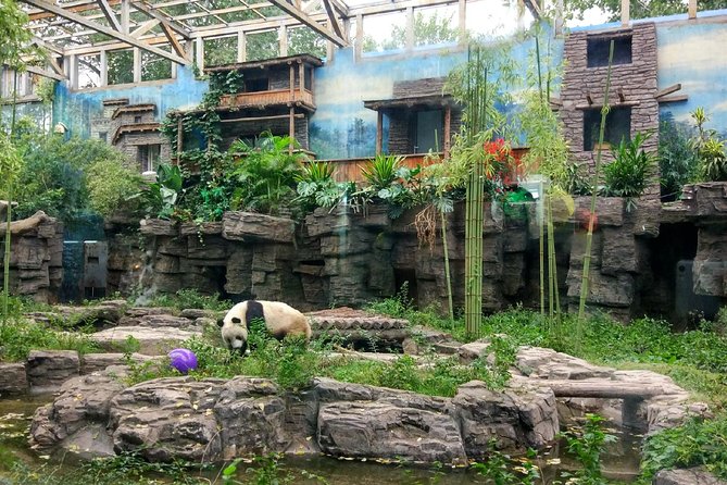 Beijing Half-Day Private Customized Tour: Visit Your Dream Spots - A Private Beijing Plan Built Around Your Dream Stops