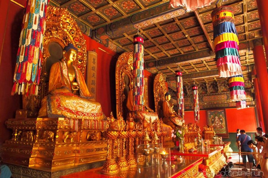 Beijing: Lama Temple, Confucius Temple and Guozijian Museum - How watching people worship changes the whole experience