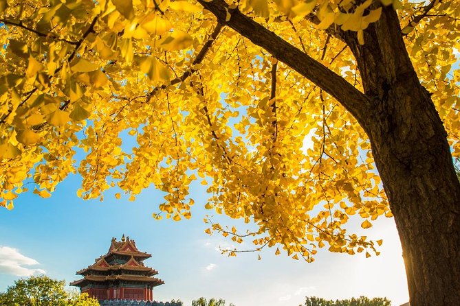 Beijing Layover Tour to Tiananmen Square and Forbidden City - Price and value of $180 for a half-day connection