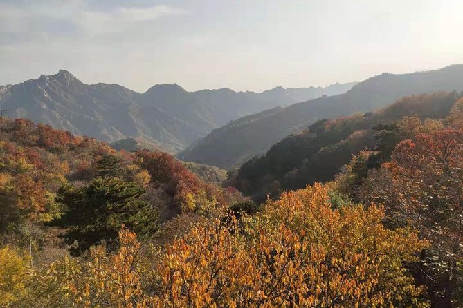 Beijing: Mutianyu Great Wall and Tea House Private Tour - Mutianyu Great Wall drive, and why pickup time matters
