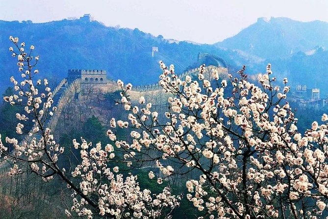 Beijing: Mutianyu Great Wall Daily Tour with Ticket & Lunch - Why Mutianyu Fits Real People, Not Just Postcards