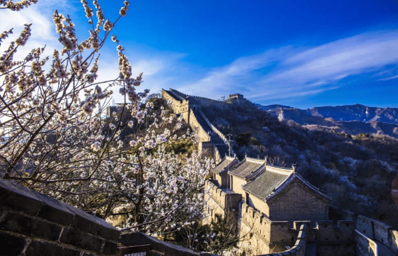 Beijing Mutianyu Great Wall&ForbiddenCity All Inclusive Tour - Lunch and the Drive: Staying Relaxed While You Travel