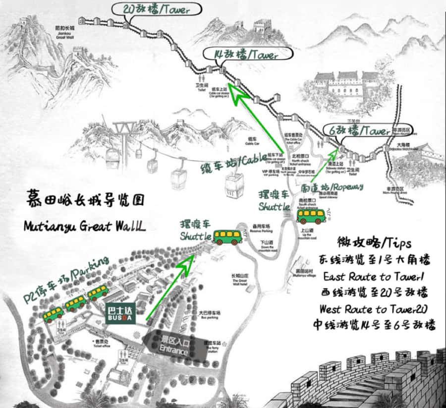 Beijing: Mutianyu Great Wall & Summer Palace Day Tour - Mutianyu Great Wall: picking east, west, or double-line