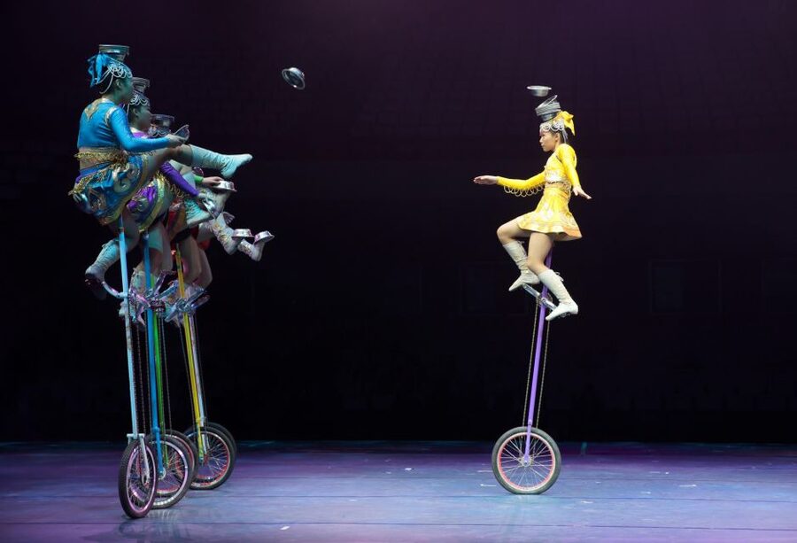 Beijing Night Tour with Acrobatics Show & PekingDuck Dinner - Private-group comfort, plus an English guide