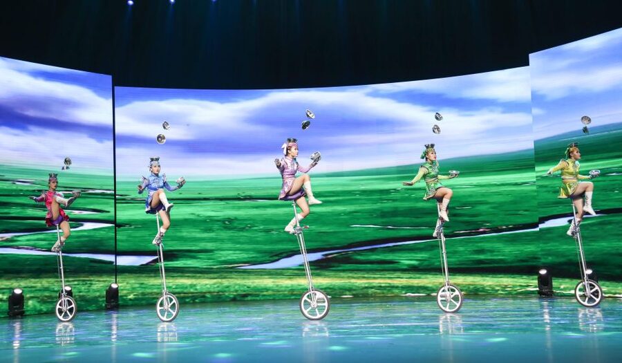 Beijing Night Tour with Acrobatics Show & PekingDuck Dinner - Passport and details: what can slow you down if you forget