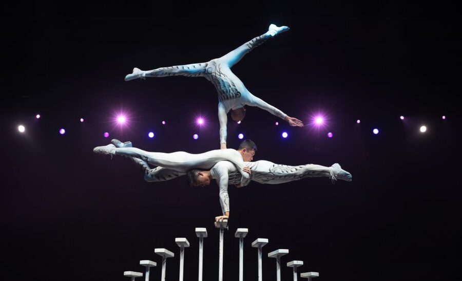 Beijing Night Tour with Acrobatics Show & PekingDuck Dinner - Who this Beijing night tour fits best