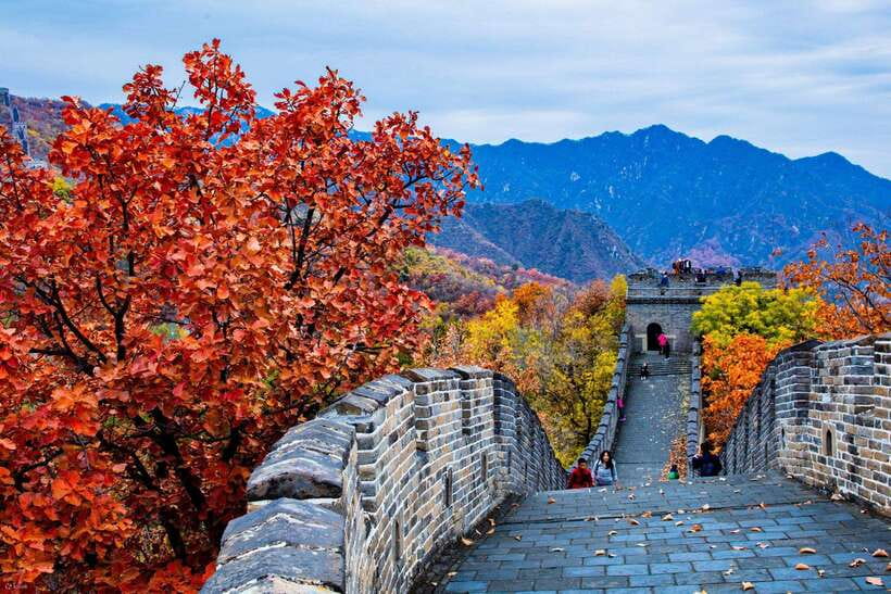 Beijing: Panda House w/Great Wall or City Sites Private Tour - How the day stays manageable in 7 to 8 hours