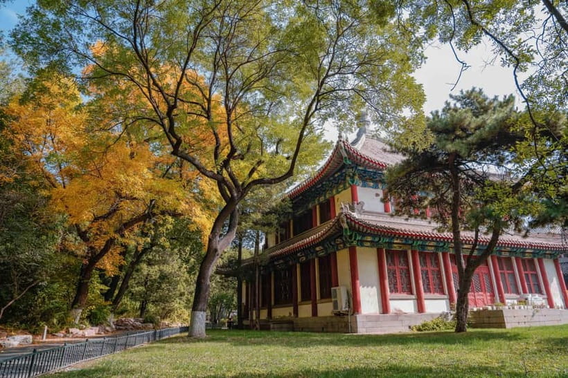 Beijing: Peking University Campus Guided Walking Tour - Weiming Lake and PKU gardens: learning to see the design behind the views