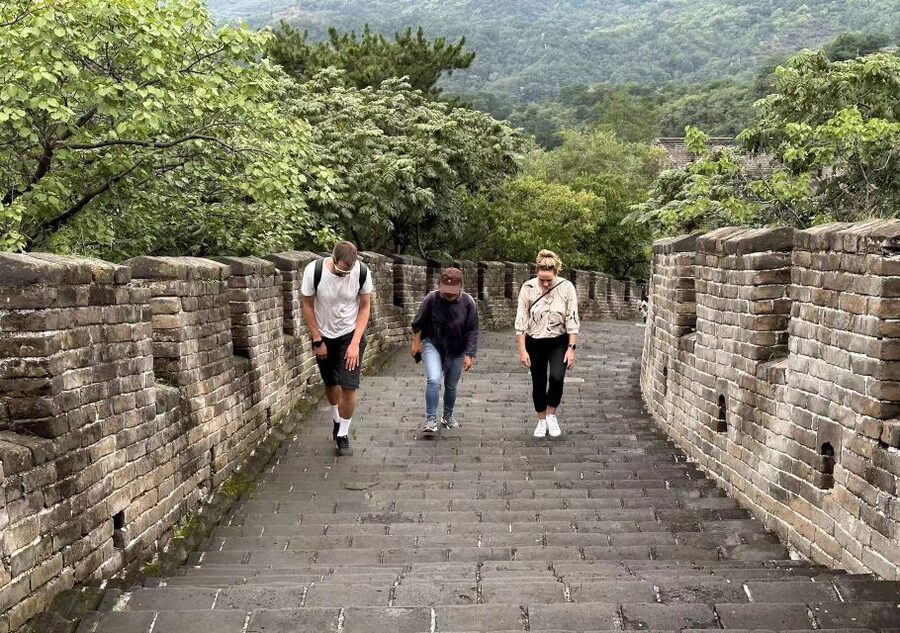 Beijing Private Custom Tour: Licensed Guide&Transfer Service - Price and value: why $59 can work well for a private half-day