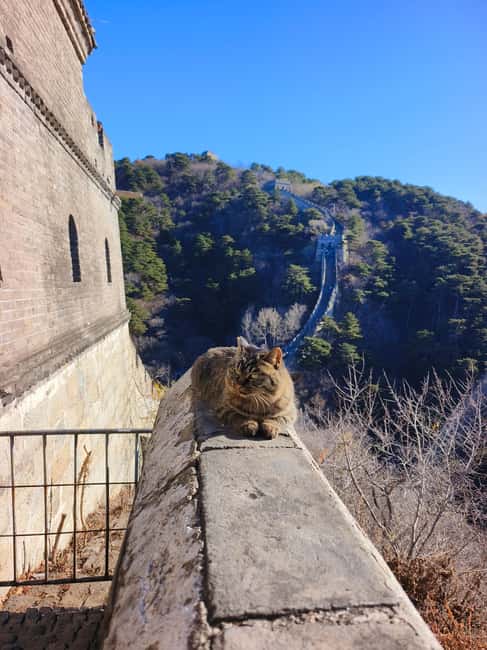 Beijing: Private Tour to Mutianyu Great Wall&Forbidden City - English guide help that actually affects the day