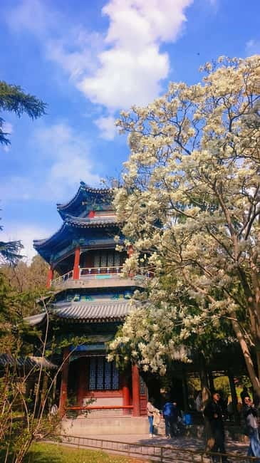 Beijing: Summer Palace Highlight Walking Tour - Who this tour suits best, and who should think twice