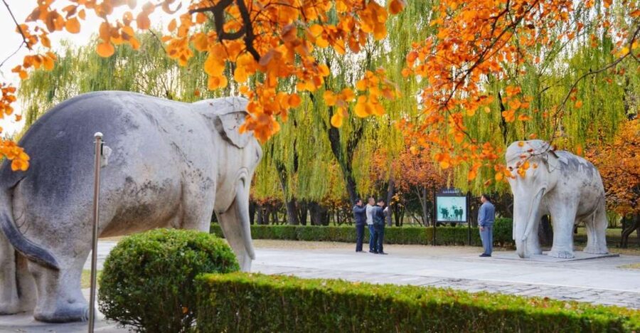 Beijing: Summer Palace, Sacred Road&Ming Tombs Private Tour - Door-to-door pickup and an 8-hour plan that stays practical
