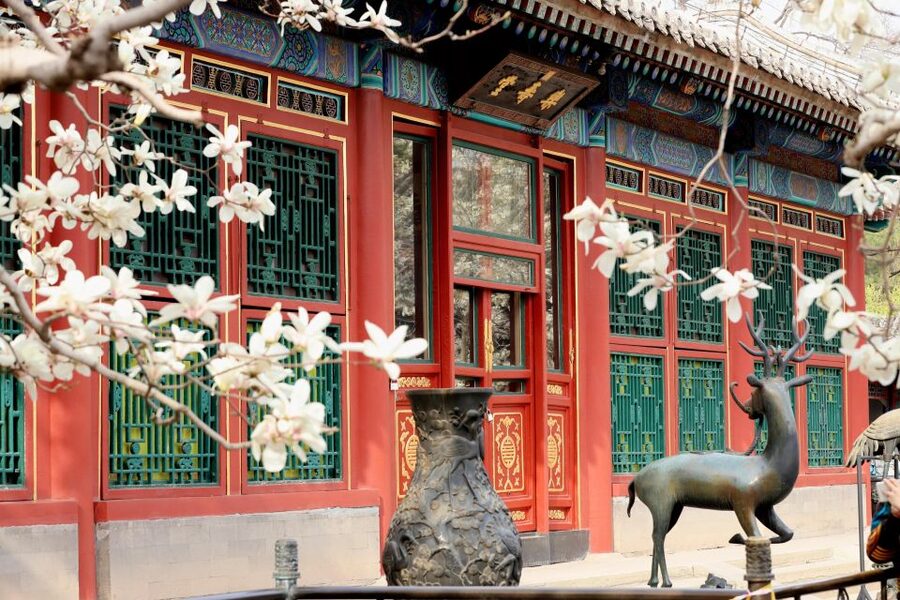Beijing: Summer Palace, Sacred Road&Ming Tombs Private Tour - Sacred Way: 18 pairs of 500-year-old stone guardians