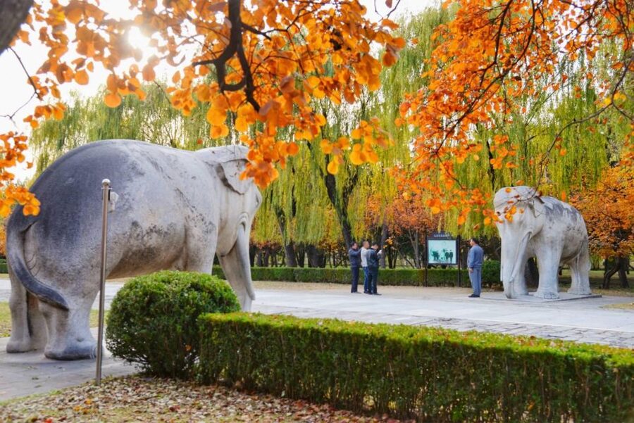 Beijing: Summer Palace, Sacred Road&Ming Tombs Private Tour - Photo stops, timing, and what to wear for Ming Tombs + Summer Palace