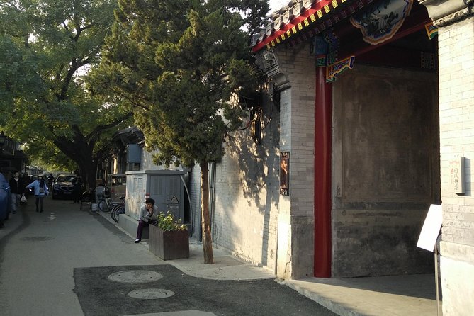 Beijing Tailored Privated Day Trip by Licensed Driver - Should you book this Beijing Tailored Private Day Trip?