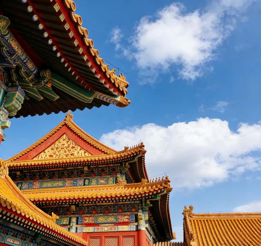 Beijing: Temple of Heaven and Forbidden City Private Tour - Temple of Heaven morning stroll: halls, emperors, and park choreography