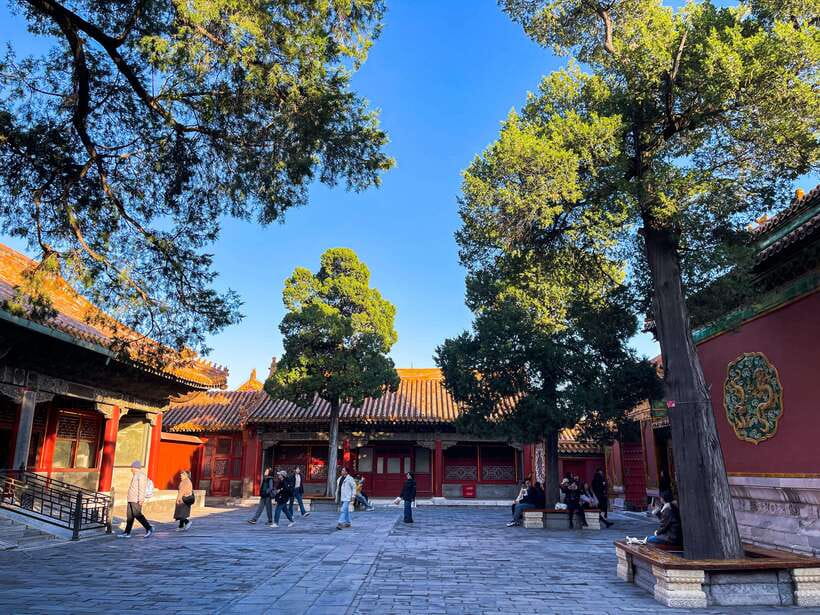 Beijing:Temple of Heaven+Forbidden City Private City Tour - How This Private Day Tour Works, Without the Hassle