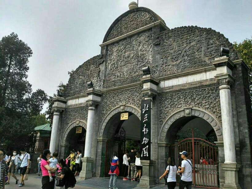 Beijing: The Beijing Zoo Entry Ticket with Pandas - What This Beijing Zoo Panda Ticket Gets You In