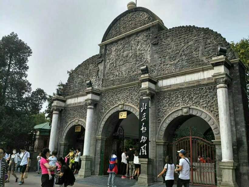 Beijing: The Beijing Zoo Entry Ticket with Pandas - The Animal Lineup That Shapes the Visit