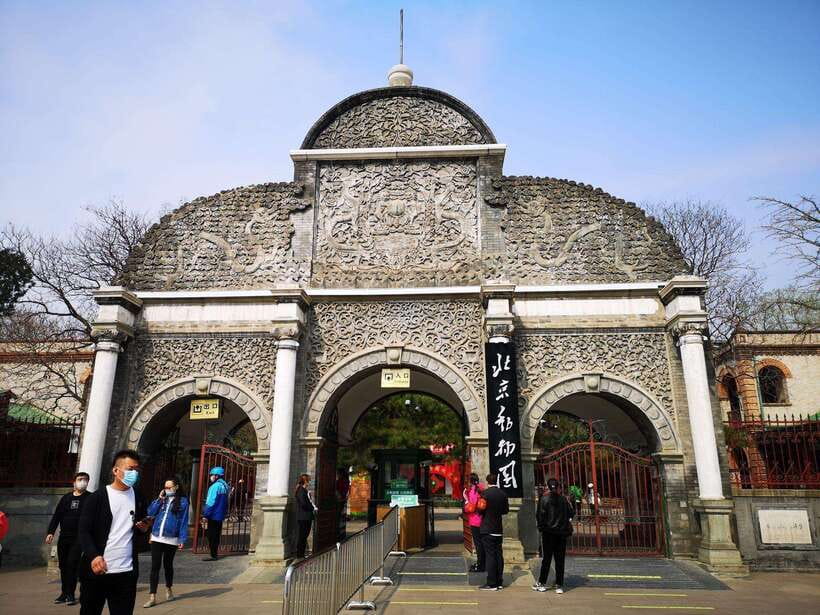 Beijing: The Beijing Zoo Entry Ticket with Pandas - Price and Value: Why $6 Makes Sense for a Short Stop