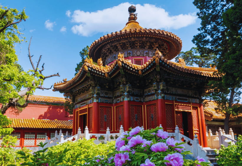 Beijing: Tiananmen Square and Forbidden City Entry Tickets - Panda House at Beijing Zoo: a family-friendly add-on