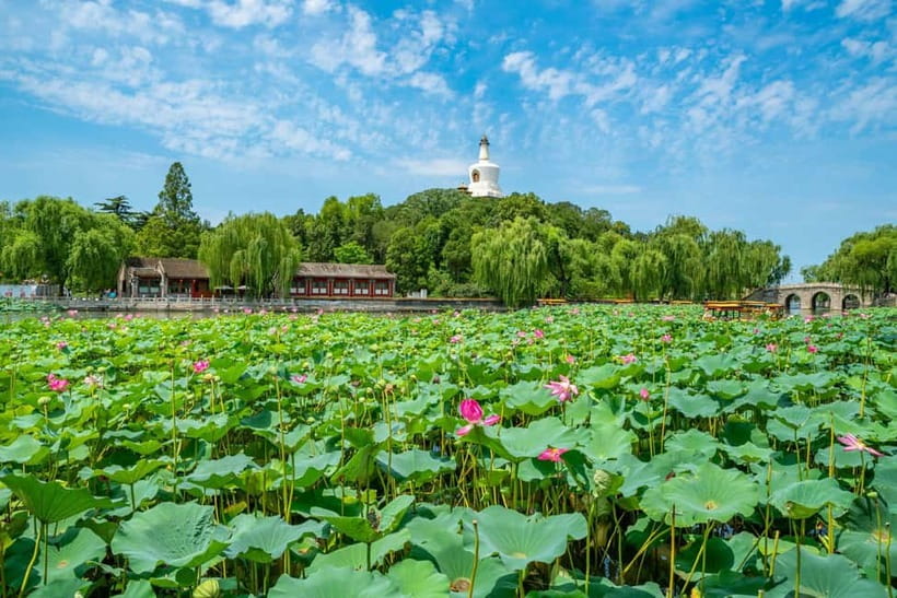 Beijing: Tiananmen Square & Forbidden City Tickets & Tours - Temple of Heaven: a calmer counterpoint after palaces