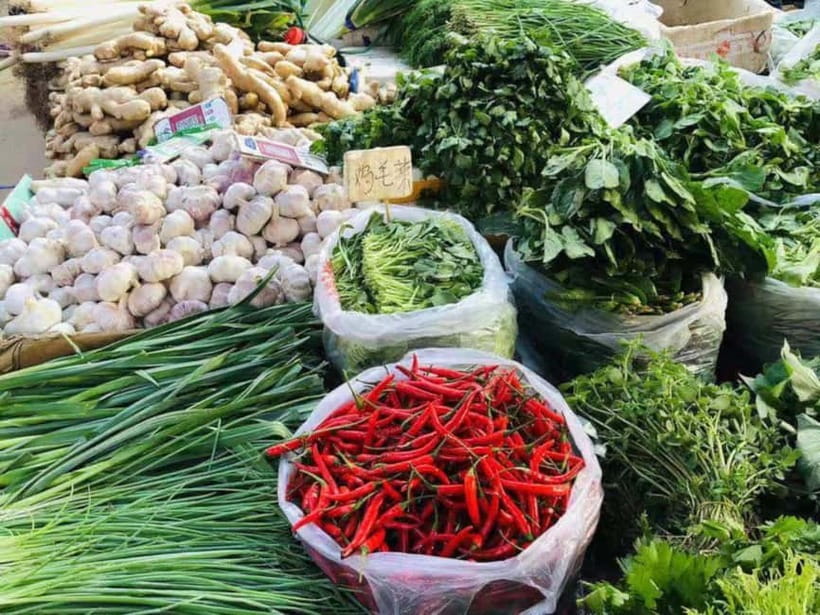 Beijing: Vegan Home Cooking & Local Market Tour with Sanxia - A Real Beijing Kitchen Lesson in Tongzhou