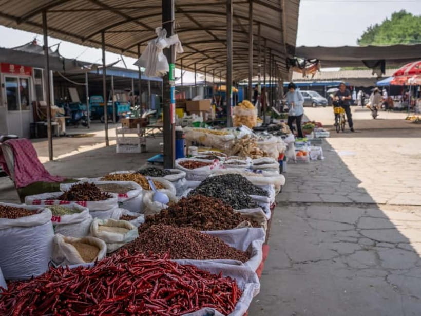 Beijing: Vegan Home Cooking & Local Market Tour with Sanxia - From Tu Qiao to Your Ingredient List