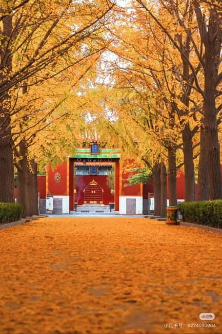 Beijing: Yonghe Lama Temple Tickets with guide (optional) - Archways and gates: where the vibe changes from street to sacred