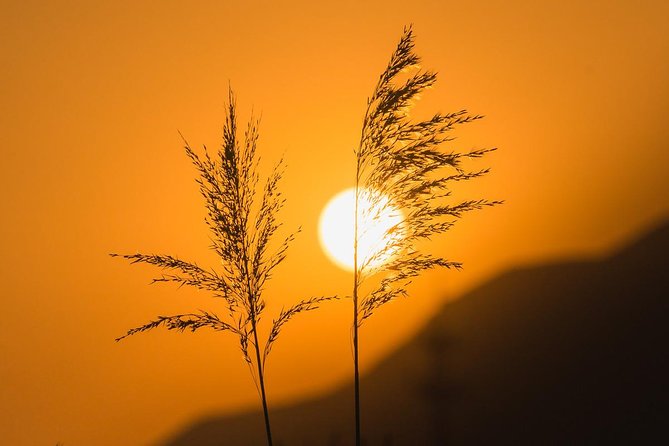 Early Bird Great Wall Private Tour with Chinese Breakfast from Beijing - The Qiaozi breakfast stop you’ll remember