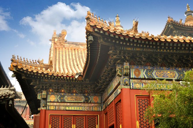 Full-Day Beijing City Tour: Hutongs, Lama Temple and Panda House - A smart way to see “classic Beijing” in one organized swing