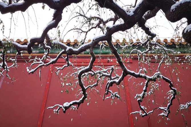 Half Day Beijing Group Tour to Tiananmen Square and Forbidden City - Why this half-day combo works in Beijing