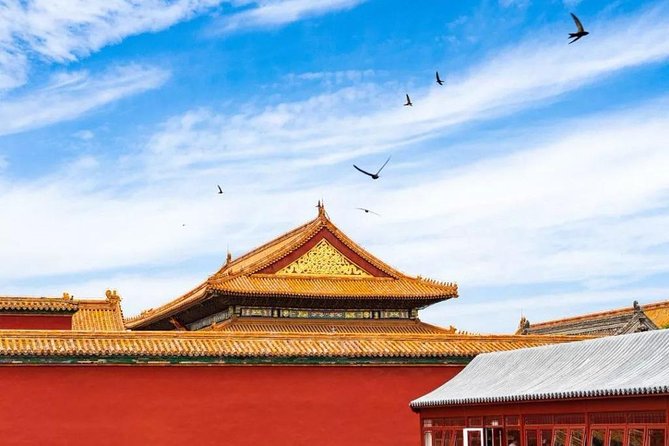 Half Day Beijing Group Tour to Tiananmen Square and Forbidden City - Guides and logistics: the difference good leadership makes